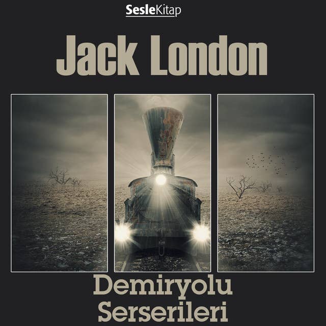 Cover for Demiryolu Serserileri