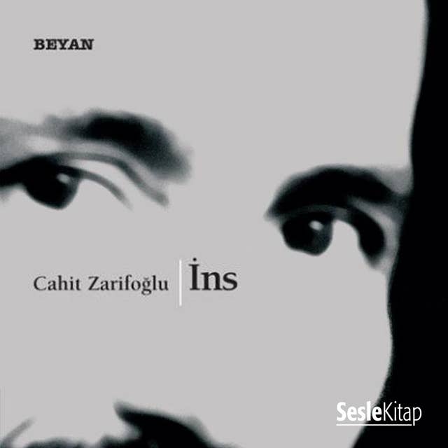 Cover for İns (Hikayeler)
