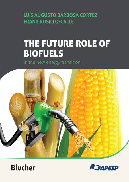 The future role of biofuels in the new energy transition: Lessons and perspectives of biofuels in Brazil