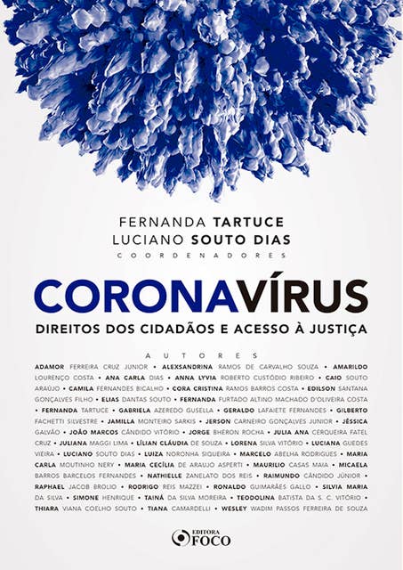 Coronavírus: Direitos dos cidadãos e acesso à justiça