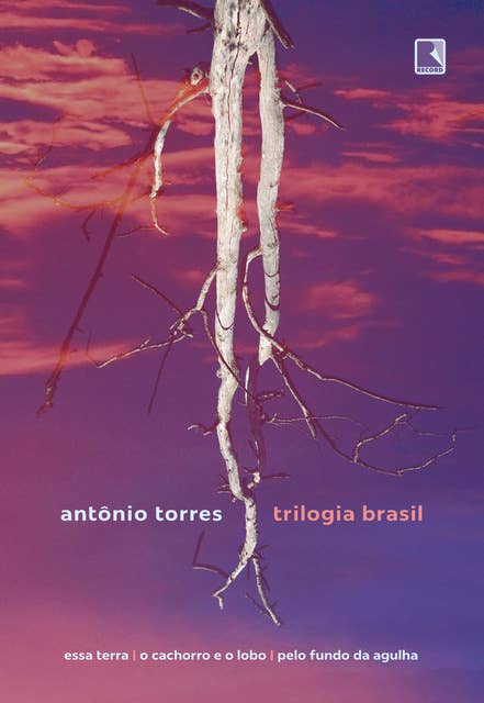 Trilogia Brasil: Essa terra, O cachorro e o lobo, Pelo fundo da agulha