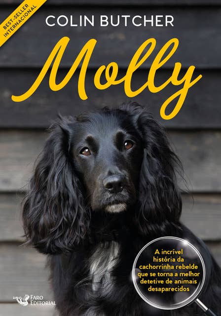 Molly: A incrível história da cachorrinha rebelde que se tornou uma super detetive de animais desaparecidos