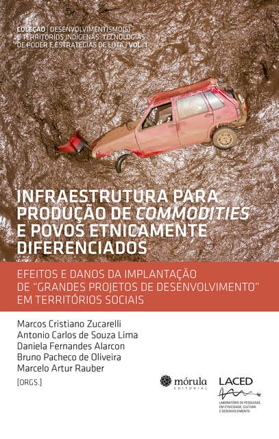 Infraestrutura para produção de commodities e povos etnicamente diferenciados: efeitos e danos da implantação de "grandes projetos de desenvolvimento" em território sociais