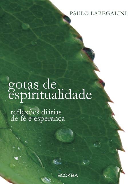 Gotas de Espiritualidade: Reflexões diárias de fé e esperança