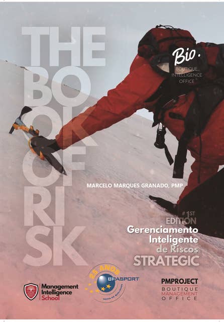 Gerenciamento Inteligente de Riscos - The Book of Risk | Strategic: The Book of Risk | Strategic