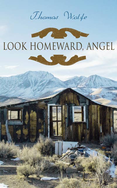 Look Homeward, Angel: Autobiographical Novel