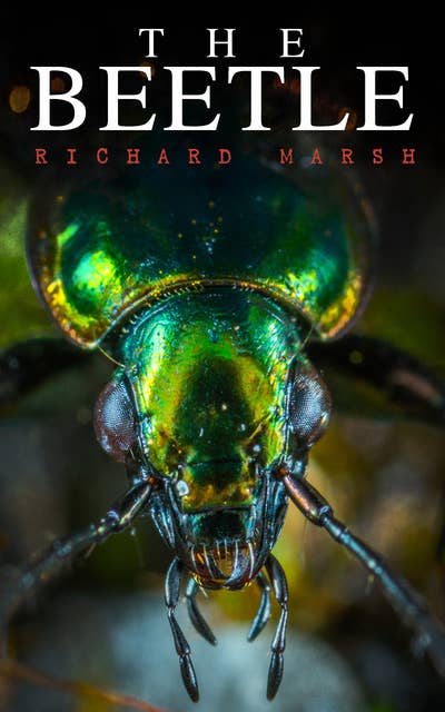 The Beetle: A Supernatural Thriller Novel