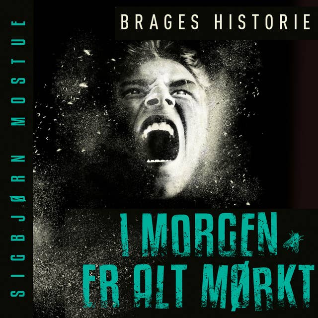 I morgen er alt mørkt - Brages historie by Sigbjørn Mostue