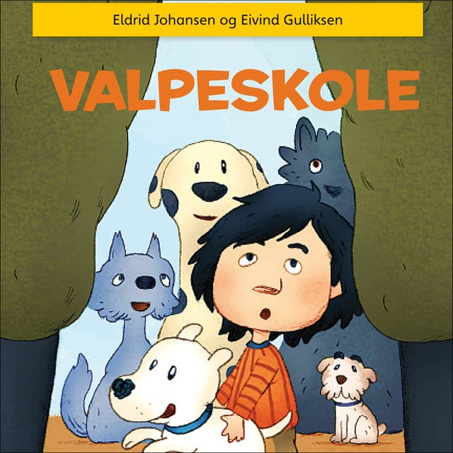 Cover for Valpeskole