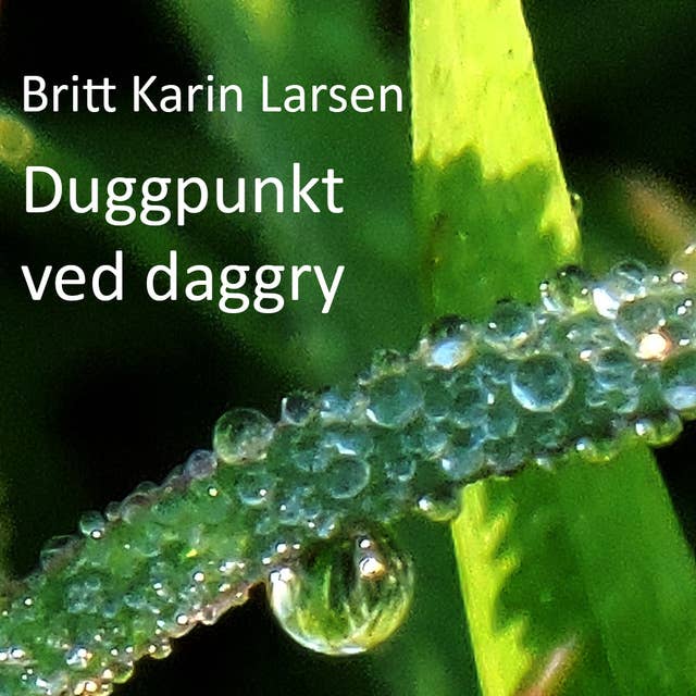 Duggpunkt ved daggry