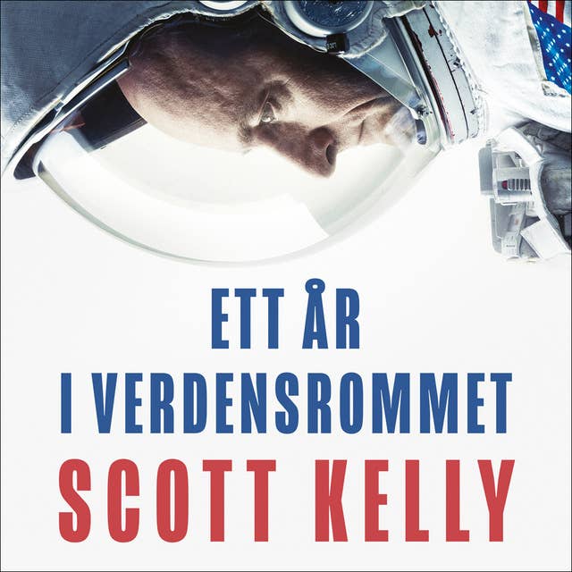 Ett år i verdensrommet