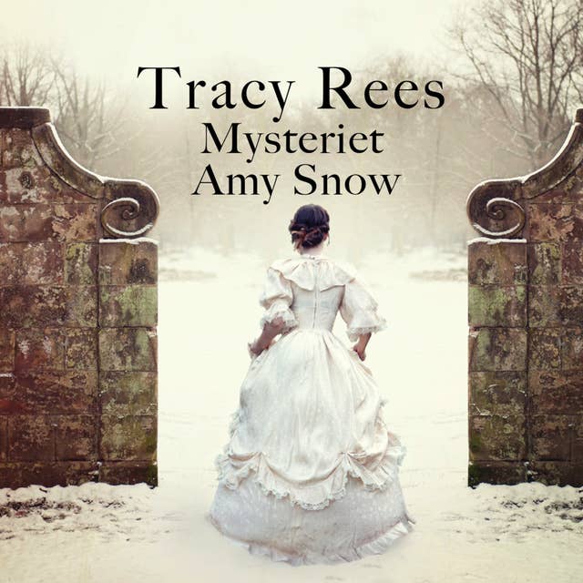 Cover for Mysteriet Amy Snow