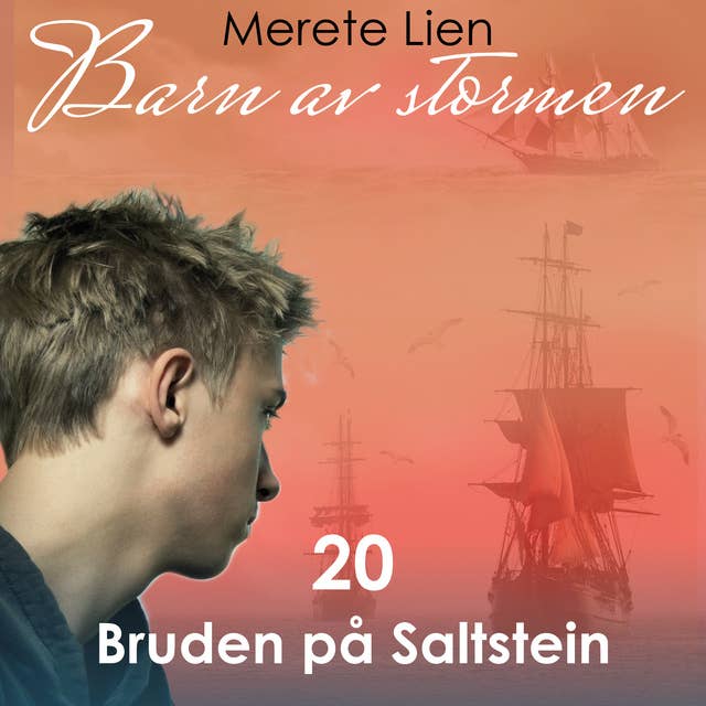 Cover for Bruden på Saltstein