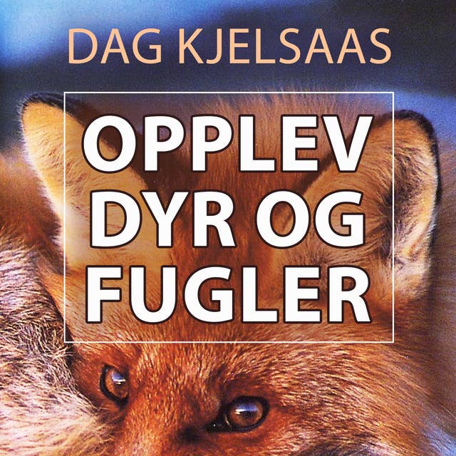 Opplev dyr og fugler 