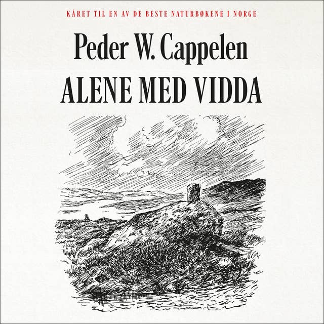 Cover for Alene med Vidda