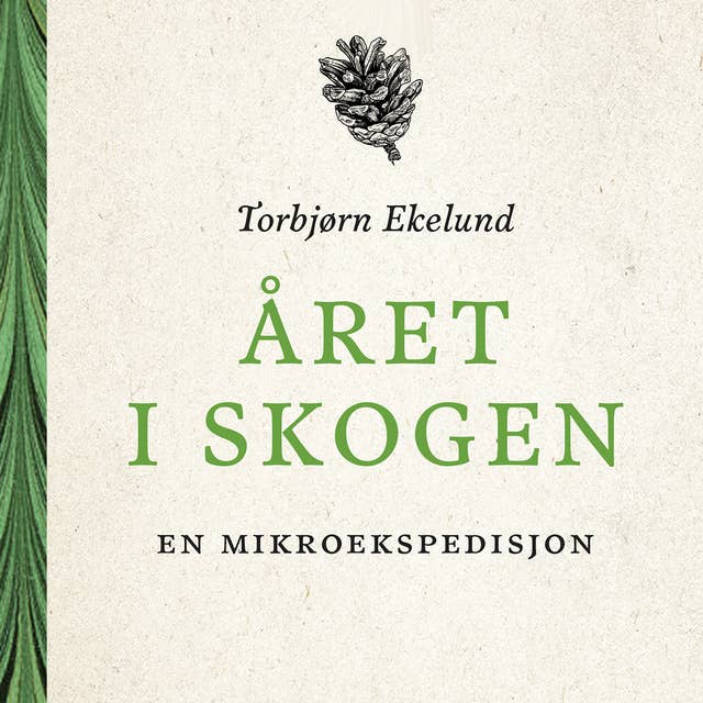 Året i skogen - En mikroekspedisjon