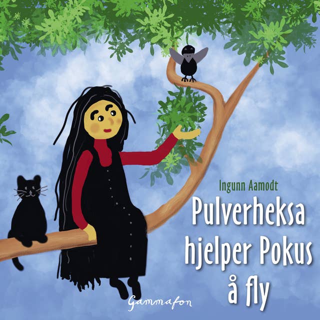 Cover for Pulverheksa hjelper Pokus å fly