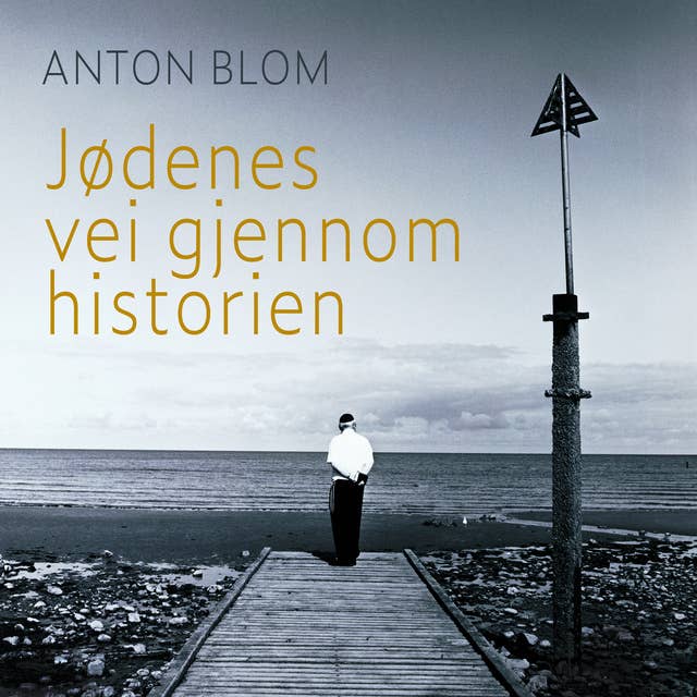 Jødenes vei gjennom historien by Anton Blom