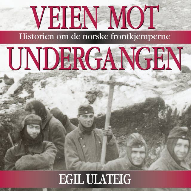 Cover for Veien mot undergangen - Historien om de norske frontkjemperne