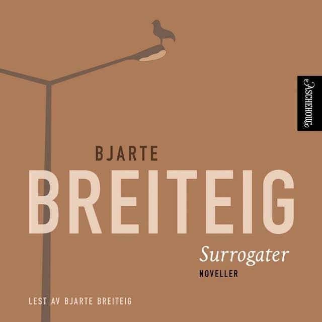 Surrogater by Bjarte Breiteig