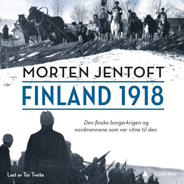 Finland 1918: Den finske borgerkrigen og nordmennene som var vitne til den