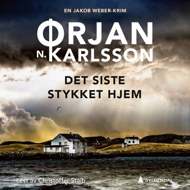 Det siste stykket hjem by Ørjan N. Karlsson