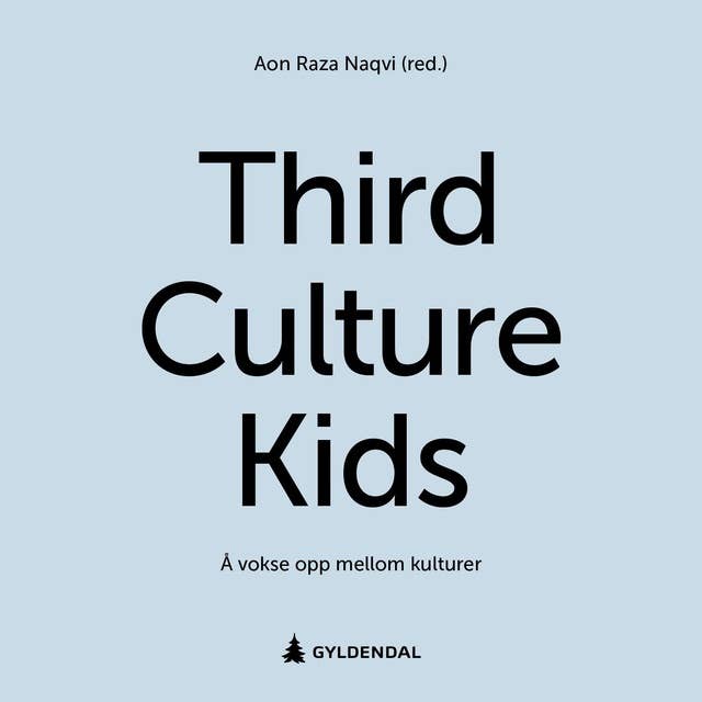 Third culture kids - Å vokse opp mellom kulturer