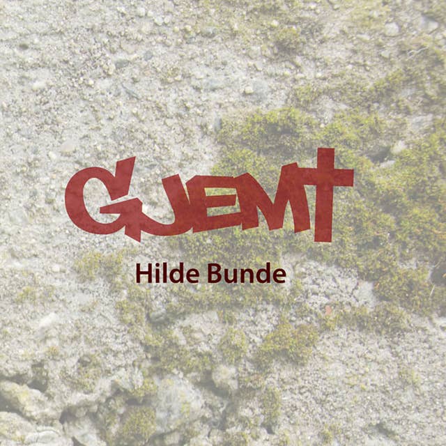 Cover for Gjemt