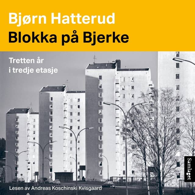 Blokka på Bjerke - Tretten år i tredje etasje by Bjørn Hatterud