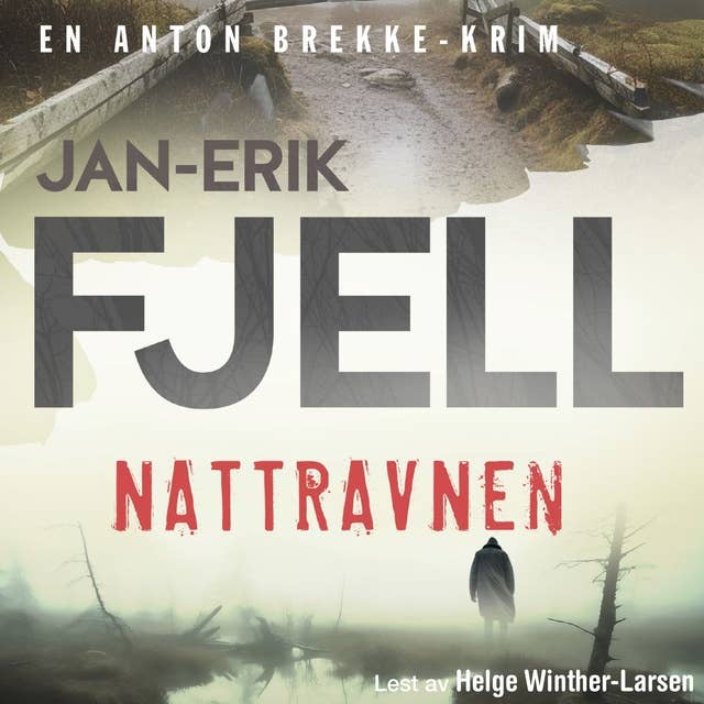 Nattravnen by Jan-Erik Fjell