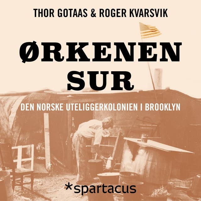 Cover for Ørkenen Sur - Den norske uteliggerkolonien i Brooklyn
