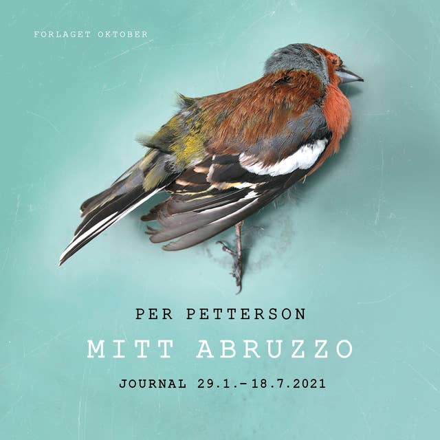 Cover for Mitt Abruzzo. Journal 29.1 - 18.7 2021