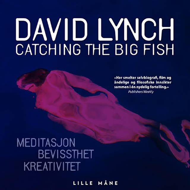 Catching the big fish - Meditasjon - kreativitet - bevisshet