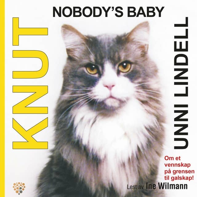 Knut - nobody's baby