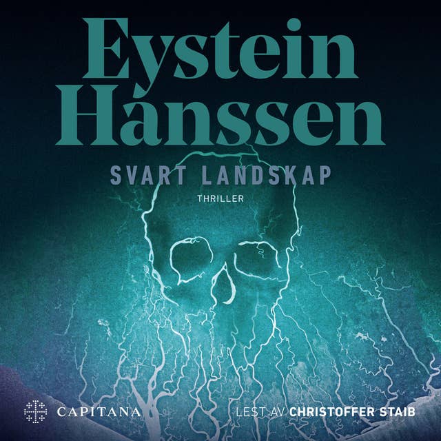 Cover for Svart landskap