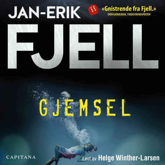 Cover for Gjemsel