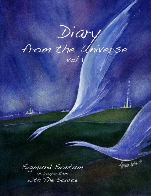 Diary from the Universe