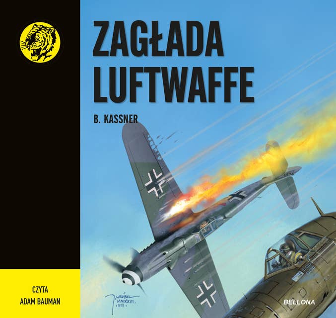 Zagłada Luftwaffe 