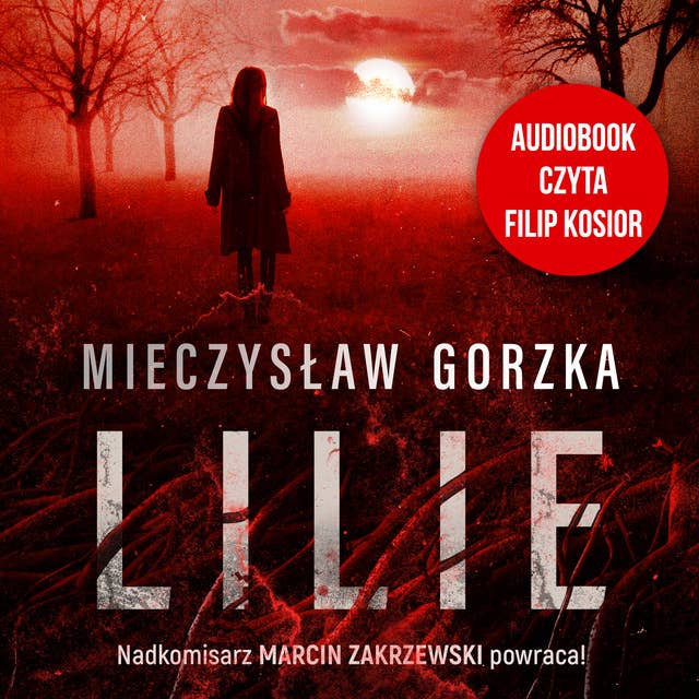 Lilie by Mieczysław Gorzka
