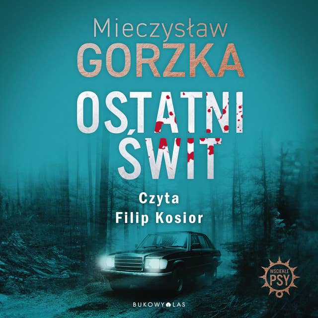 Ostatni świt by Mieczysław Gorzka