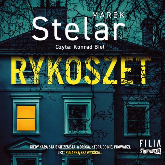 Cover for Rykoszet