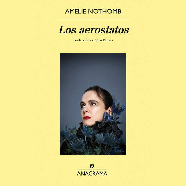 Los aerostatos 