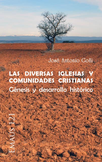 Las diversas Iglesias y comunidades cristianas: Génesis y desarrollo histórico
