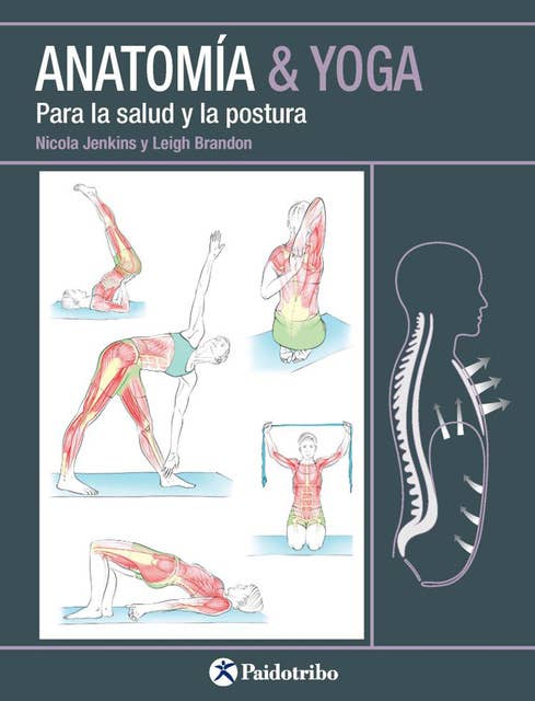 Anatomía & Yoga: Para la salud y la postura