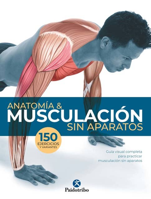 ⚠️ Anatomía & musculación sin aparatos (Color)