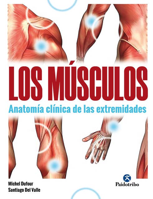 Los músculos: Anatomía clínica de las extremidades (Bicolor)