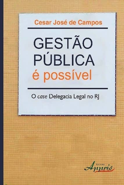 Gestão pública é possível: o case delegacia legal no rj