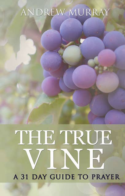 The True Vine: A 31 day guide to prayer