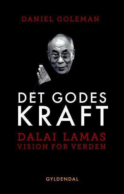 Det godes kraft: Dalai Lamas vision for verden