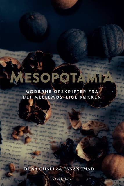 Mesopotamia: moderne opskrifter fra det mellemøstlige køkken